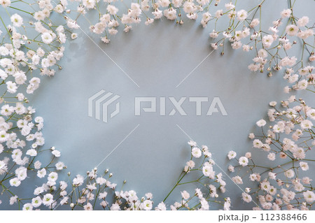 かすみ草のフローラル背景素材 かすみ草のフローラル背景素材 112388466