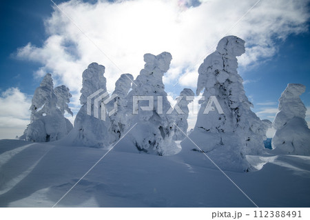 冬晴れの森吉山樹氷群　秋田県 112388491