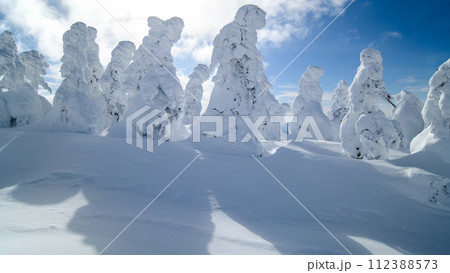 冬晴れの森吉山樹氷群　秋田県 112388573