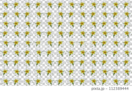 「ワイルドストロベリーの花に羽を休める益虫のナナホシテントウムシ」背景画像 グラデーション 「ワイルドストロベリーの花に羽を休める益虫のナナホシテントウムシ」背景画像 グラデーション 112389444