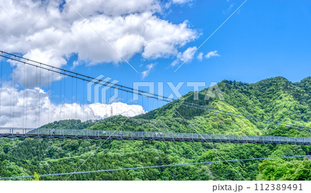 春の宮ヶ瀬湖畔園地 　吊り橋と青空 112389491