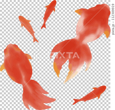金魚水彩剪影日式日式日本現代手繪插畫素材 112389919