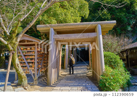 秋の神奈川県鎌倉市の銭洗弁財天(宇賀福神社)の境内側から鳥居、トンネルを見る 秋の神奈川県鎌倉市の銭洗弁財天(宇賀福神社)の境内側から鳥居、トンネルを見る 112390659