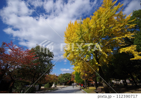 晩秋　紅葉の広島平和公園 112390717