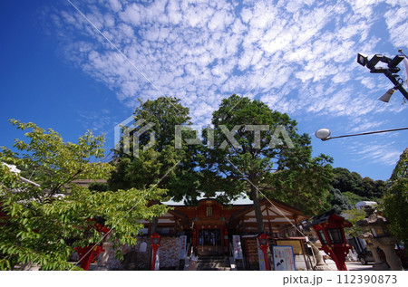 広島二葉の里　広島東照宮　本殿 112390873