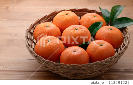 高級フルーツ はまさき みかん 佐賀県産 高級フルーツ はまさき みかん 佐賀県産 112391325