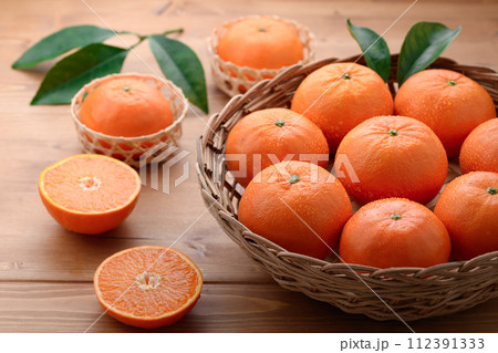 高級フルーツ はまさき みかん 佐賀県産 高級フルーツ はまさき みかん 佐賀県産 112391333