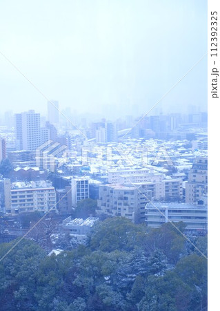 雪の日 東京都北区北とぴあからの景色 雪の日 東京都北区北とぴあからの景色 112392325