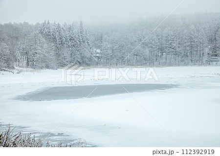 冬の三本木沼 冬の三本木沼 112392919