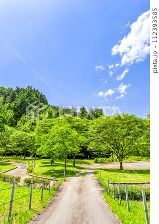 春の宮ヶ瀬湖畔園地 　行楽日和 112393585
