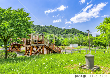 春の宮ヶ瀬湖畔園地 　行楽日和 112393586