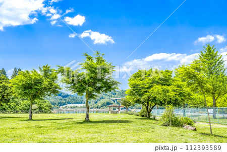春の宮ヶ瀬湖畔園地 行楽日和 春の宮ヶ瀬湖畔園地 行楽日和 112393589