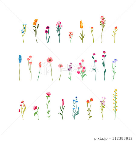 Delicate flowers and stems. Big Set botanic elements. Wildflowers, herbs with foliage. Collection garden and wild foliage and branches. illustration isolated on white background. 112393912