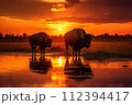 AI-generated content. Stunning view of buffaloes grazing serenely in the golden african savannah at sunset AI-generated content. Stunning view of buffaloes grazing serenely in the golden african savannah at sunset 112394417