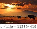 AI-generated content. Golden african savannah landscape. picturesque buffaloes grazing at serene sunset AI-generated content. Golden african savannah landscape. picturesque buffaloes grazing at serene sunset 112394419