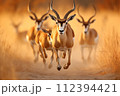 AI-generated content. Capturing the exquisite grace of antelopes in the golden light of the african savannah at sunset AI-generated content. Capturing the exquisite grace of antelopes in the golden light of the african savannah at sunset 112394421