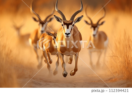 AI-generated content. Capturing the exquisite grace of antelopes in the golden light of the african savannah at sunset 112394421