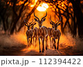 AI-generated content. Capturing the graceful movement of antelopes in the golden light of the african savannah at sunset AI-generated content. Capturing the graceful movement of antelopes in the golden light of the african savannah at sunset 112394422