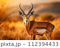AI-generated content. Magnificent tranquil antelope graze amidst golden glow of african savannah at beautiful sunset AI-generated content. Magnificent tranquil antelope graze amidst golden glow of african savannah at beautiful sunset 112394433