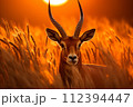 AI-generated content. Tranquil antelope grazing in the golden glow of the african savannah during a breathtaking sunset AI-generated content. Tranquil antelope grazing in the golden glow of the african savannah during a breathtaking sunset 112394447