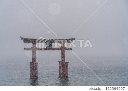 滋賀県高島市の琵琶湖に浮かぶ白鬚神社の鳥降る日に降る日に撮影したもの 112394907