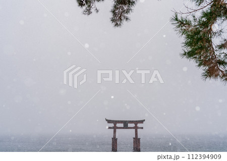 滋賀県高島市の琵琶湖に浮かぶ白鬚神社の鳥降る日に降る日に撮影したもの 112394909