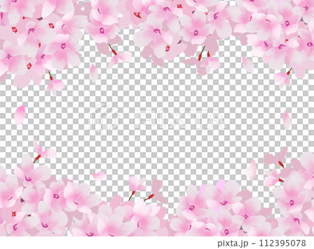 盛開的櫻花的框架圖 112395078