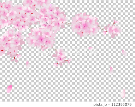 Blue sky and cherry frame Blue sky and cherry frame 112395079