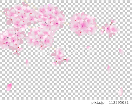 夜晚落下的櫻花花瓣的框架 112395081