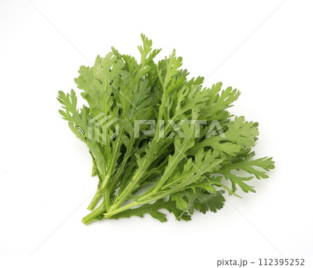 春菊 112395252