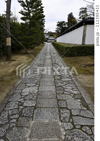 智積院 参道 智積院 参道 112395431