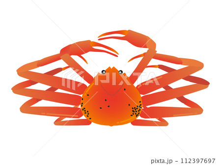 ズワイガニのベクターイラスト ズワイガニのベクターイラスト 112397697