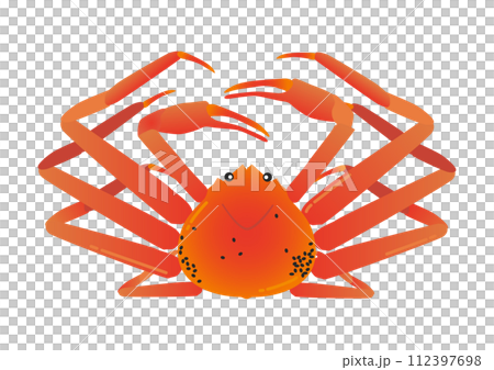 ズワイガニのベクターイラスト 112397698