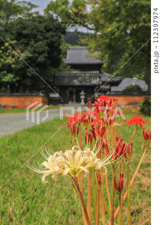 彼岸花咲く秋の戒壇院 彼岸花咲く秋の戒壇院 112397974