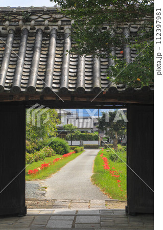 彼岸花咲く秋の戒壇院 彼岸花咲く秋の戒壇院 112397981
