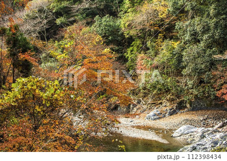 紅葉する渓流 紅葉する渓流 112398434