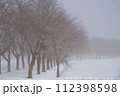 雪景色 112398598