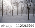 雪景色 112398599
