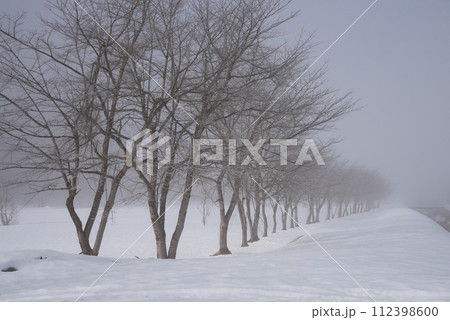 雪景色 雪景色 112398600