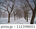 雪景色 112398601