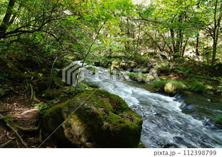 山奥の渓流風景：みずみずしい緑と清らかな水の流れ 112398799