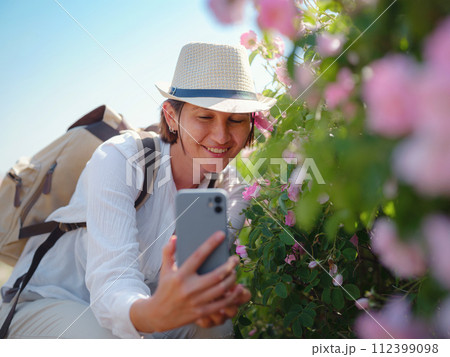 woman enjoying the aroma and make photo in her smartphone in Field of Damascena roses in sunny summer day . village Guneykent in Isparta region, Turkey a real paradise for eco-tourism. 112399098