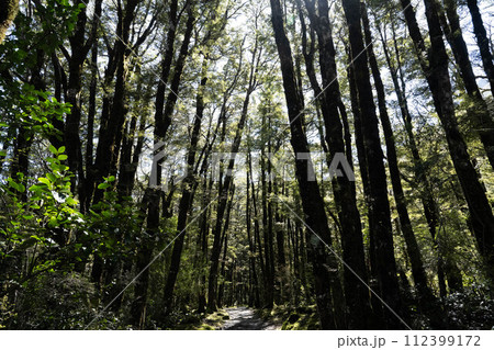 アーサーズパス国立公園2 112399172