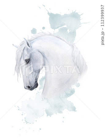 Watercolor delicate illustration of a white horse with watercolor blue splashes and pythons on the background. Handmade card, poster, print, sticker Watercolor delicate illustration of a white horse with watercolor blue splashes and pythons on the background. Handmade card, poster, print, sticker 112399937