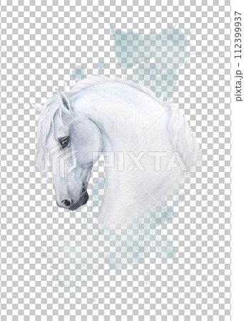 Watercolor delicate illustration of a white horse with watercolor blue splashes and pythons on the background. Handmade card, poster, print, sticker Watercolor delicate illustration of a white horse with watercolor blue splashes and pythons on the background. Handmade card, poster, print, sticker 112399937
