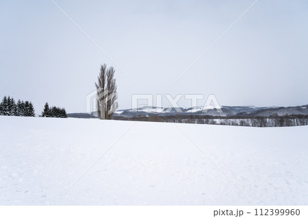 北海道美瑛の丘の雪景色 112399960