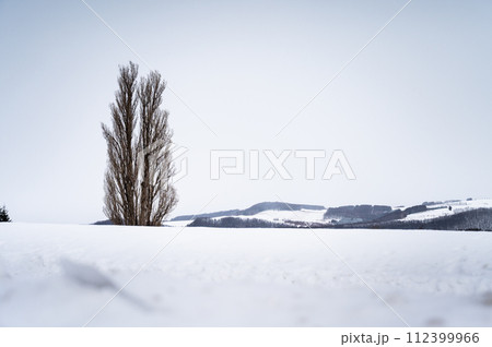 北海道美瑛の丘の雪景色 112399966