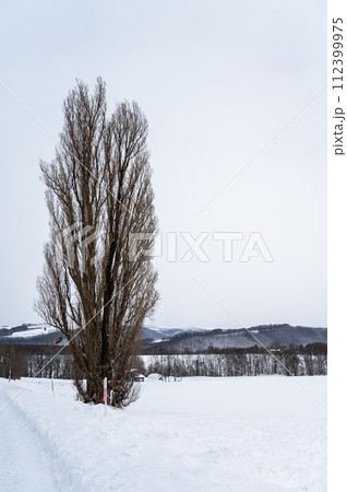 北海道美瑛の丘の雪景色 112399975