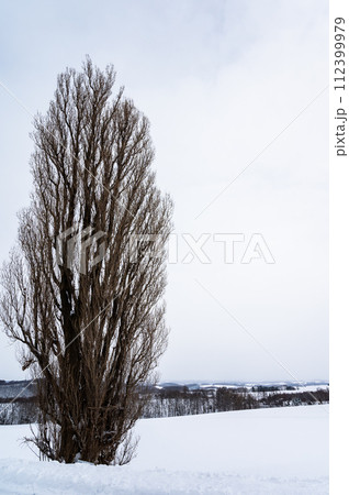 北海道美瑛の丘の雪景色 112399979