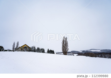 北海道美瑛の丘の雪景色 北海道美瑛の丘の雪景色 112399980